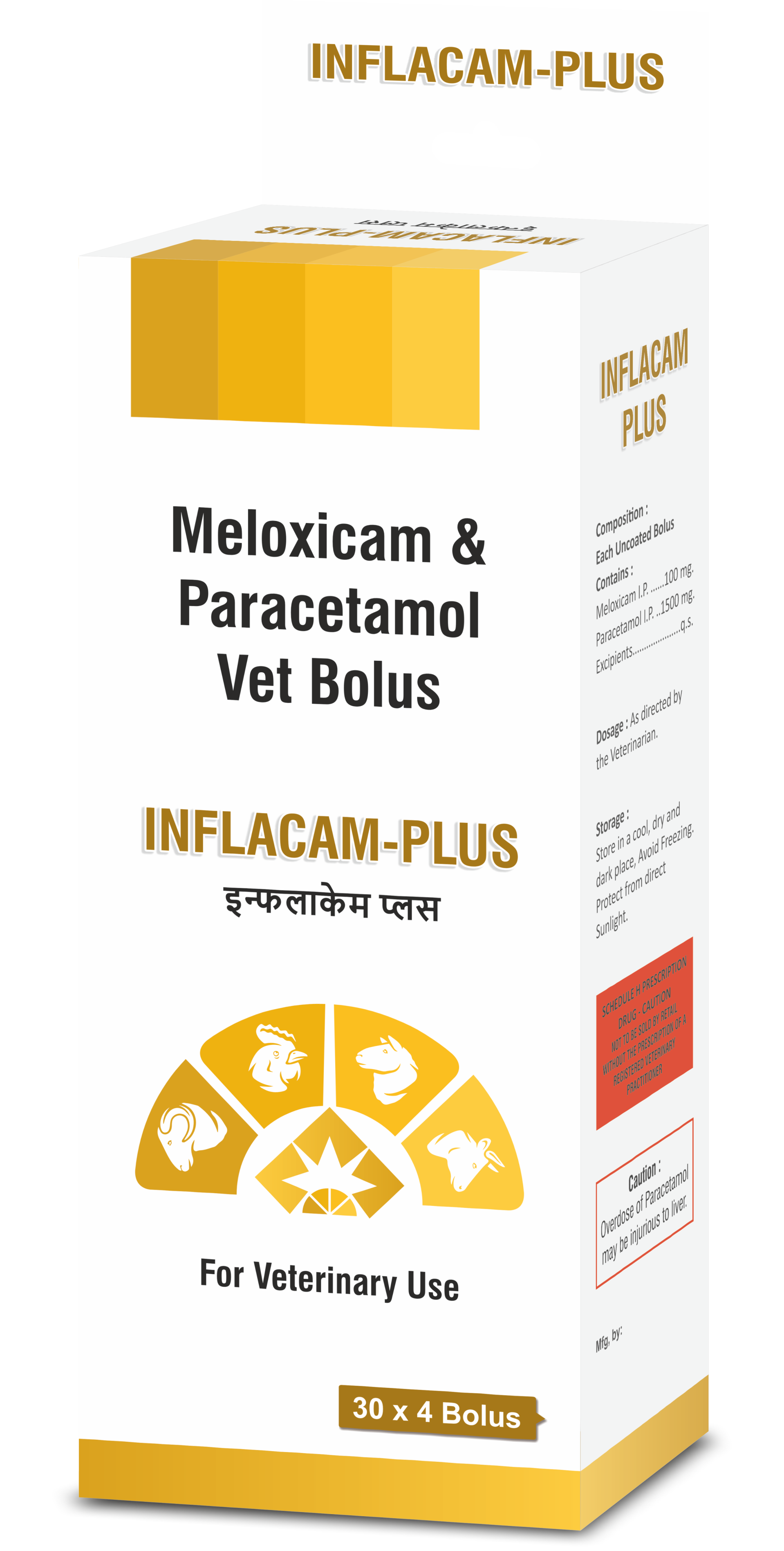 INFLACAM PLUS Bolus 