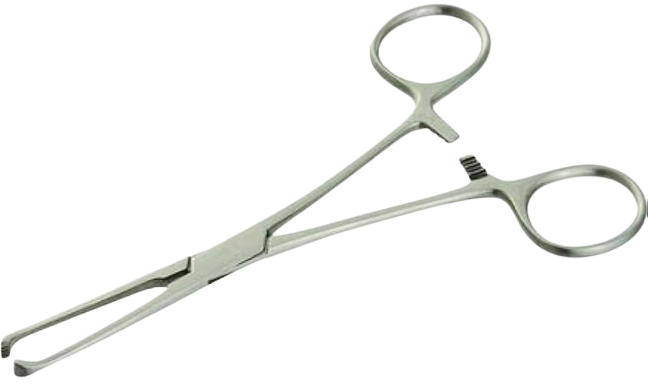 Allis Tissue Forceps SS