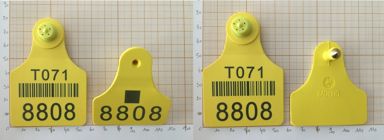 Plastic Ear Tag For Cattle